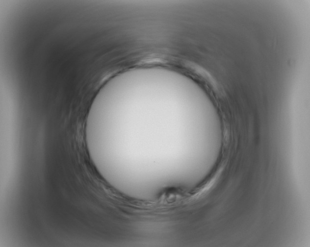 X0000114221353200910091040