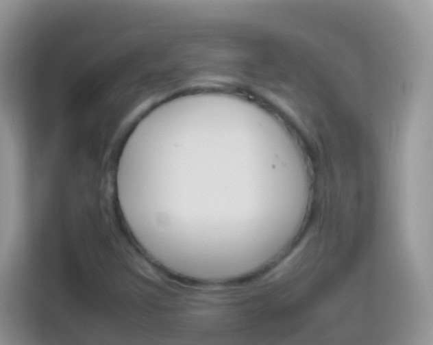 X0000114221355200910091040