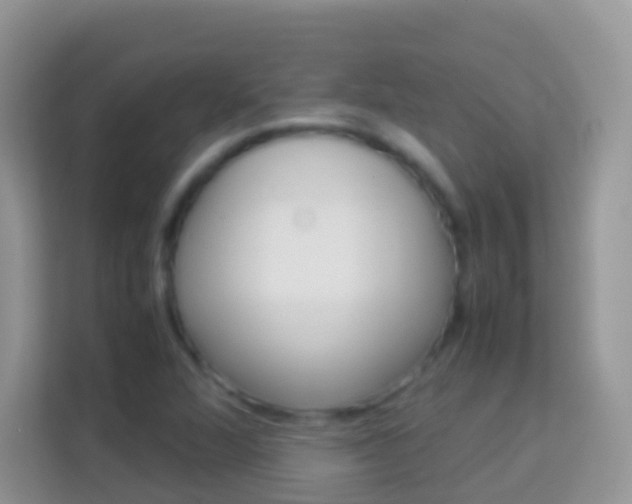 X0000114221360200910091040
