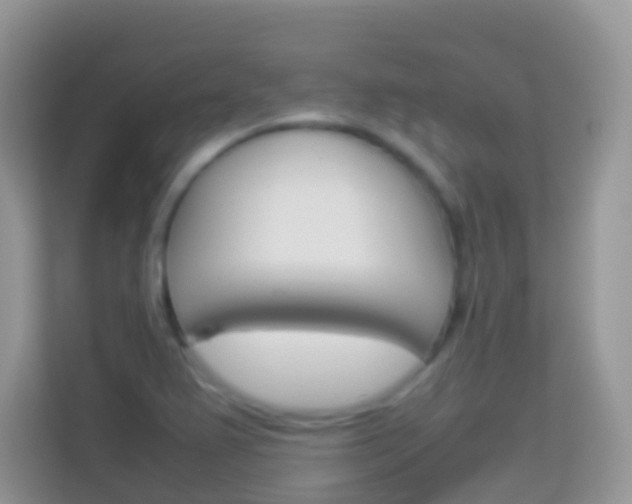 X0000114221367200910091040