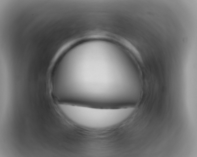 X0000114221368200910091040