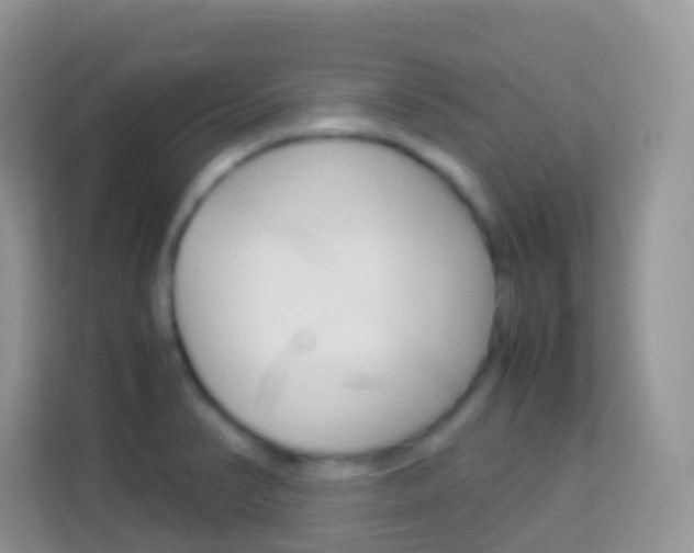 X0000114221374200910091040