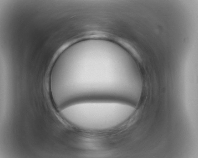X0000114221375200910091040