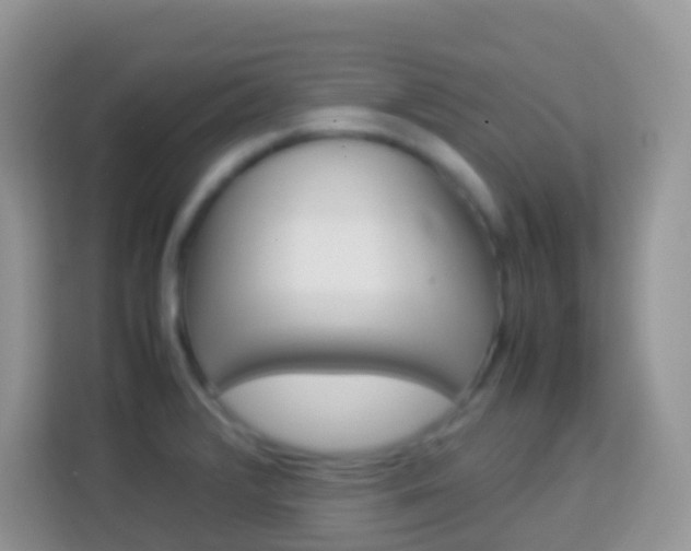 X0000114221376200910091040