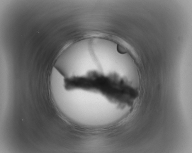 X0000114221377200910091040