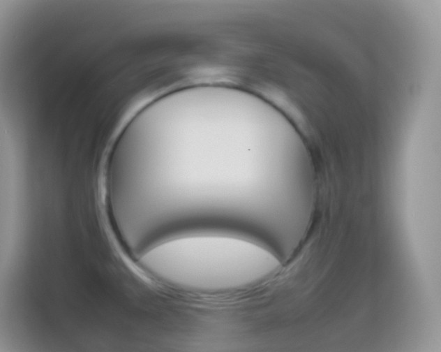 X0000114221383200910091040