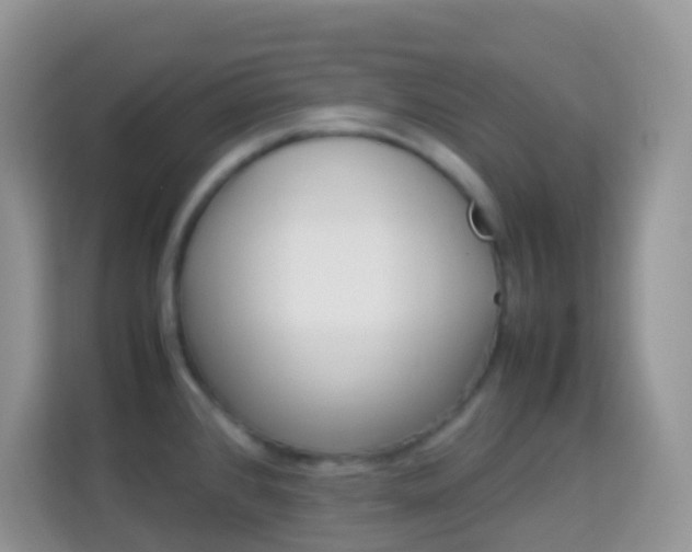 X0000114221384200910091040