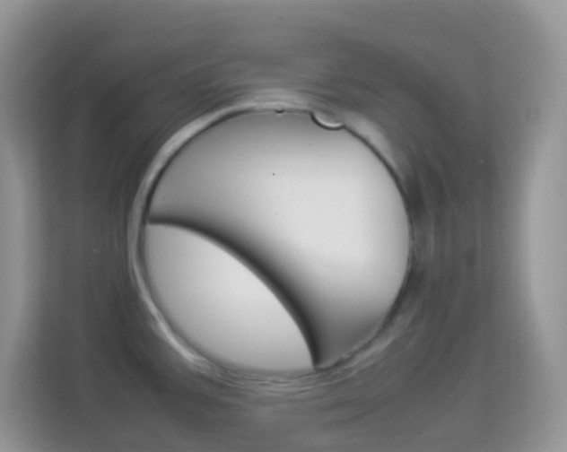 X0000114221387200910091040