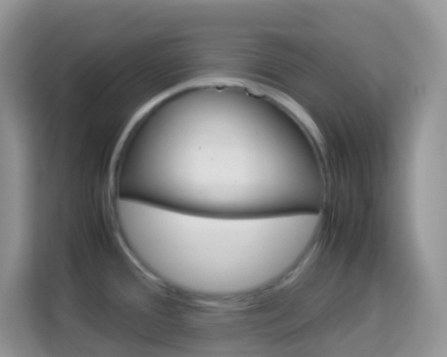 X0000114221388200910091040