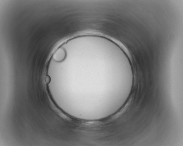 X0000114221390200910091040