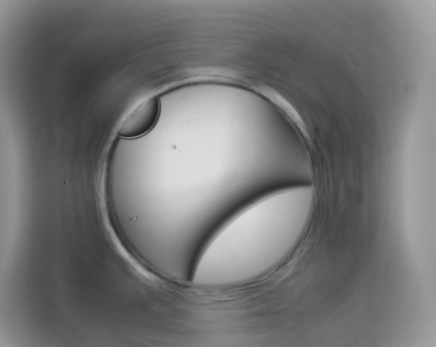 X0000114221391200910091040