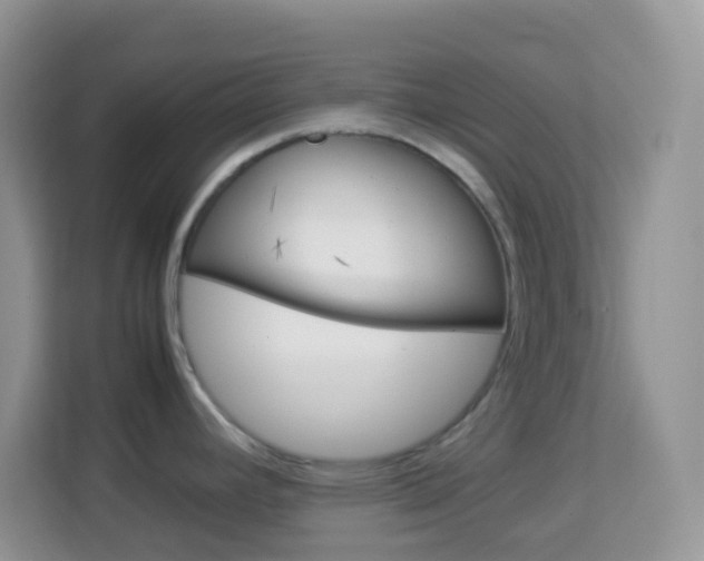X0000114221392200910091040