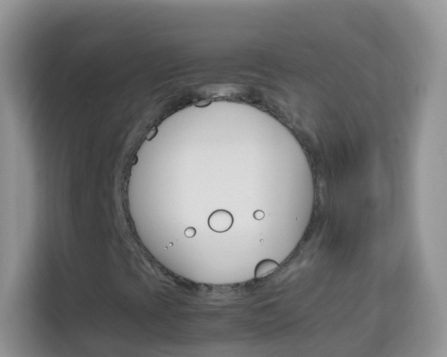 X0000114221393200910091039