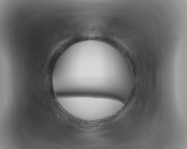 X0000114221398200910091039