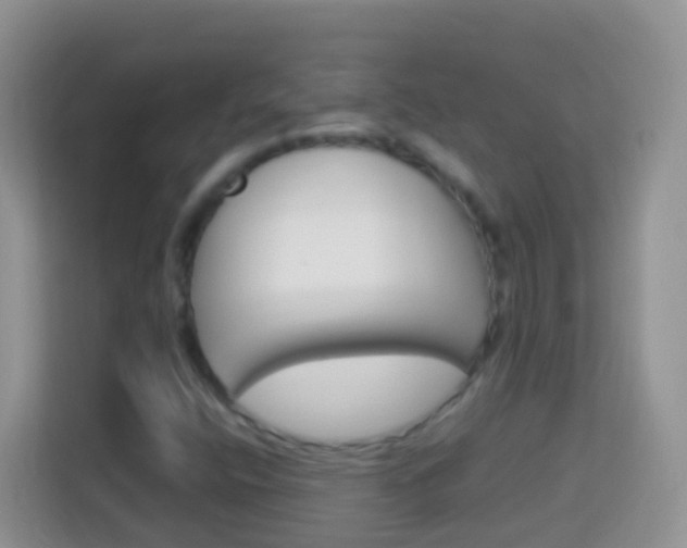 X0000114221400200910091039