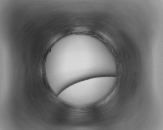 X0000114221401200910091039