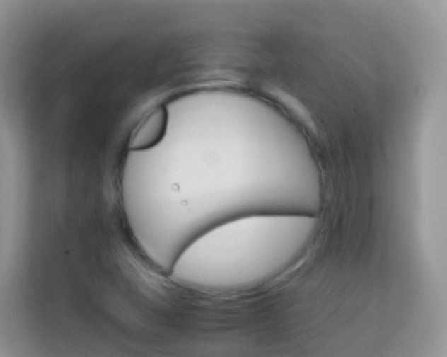 X0000114221407200910091040