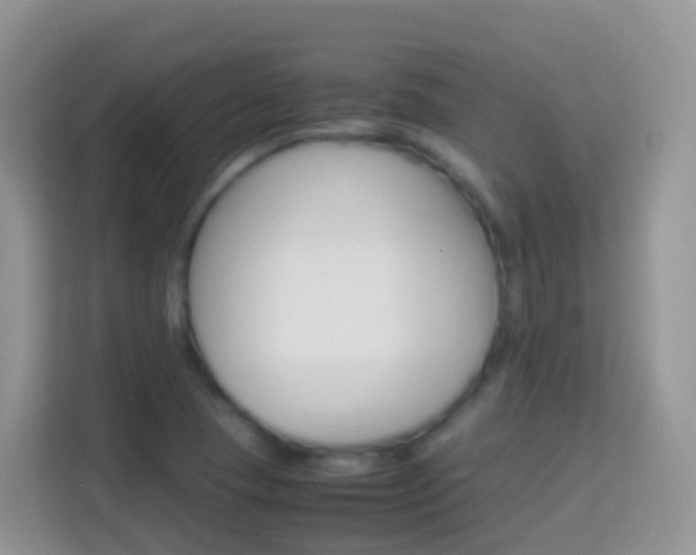 X0000114221409200910091040