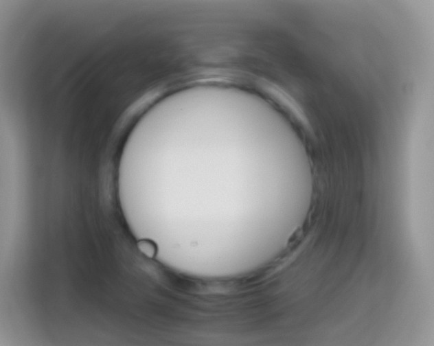 X0000114221411200910091040