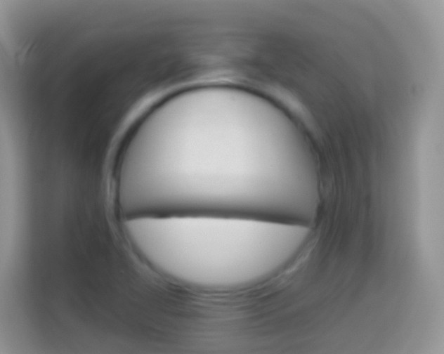 X0000114221414200910091040