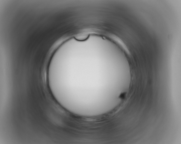 X0000114221419200910091040