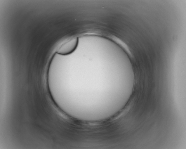 X0000114221423200910091040