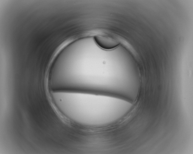 X0000114221426200910091040