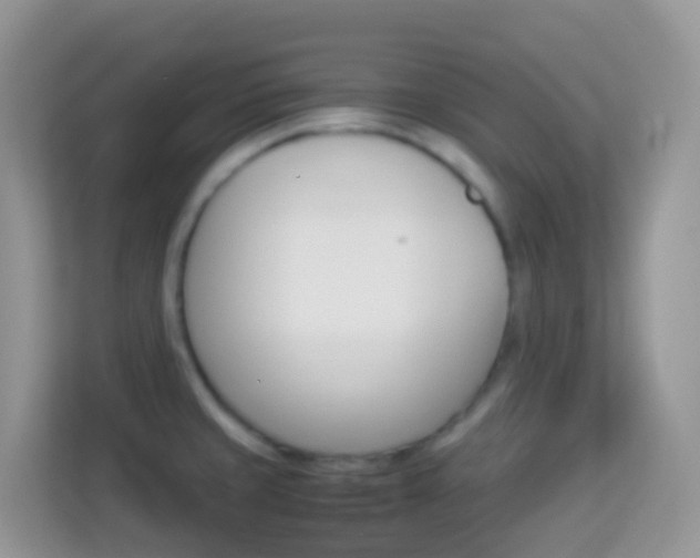 X0000114221429200910091040