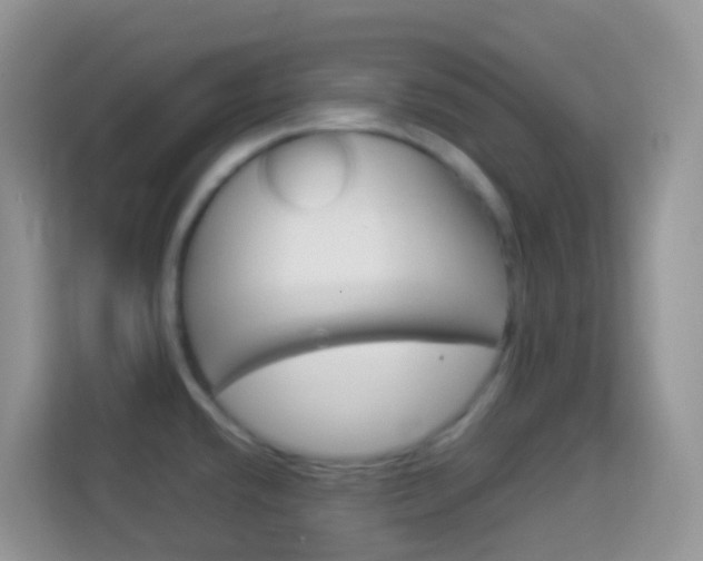 X0000114221432200910091040