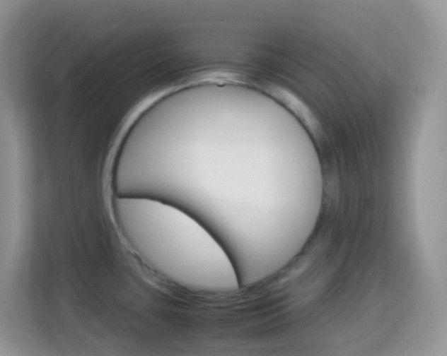 X0000114221435200910091040