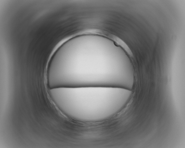 X0000114221436200910091040