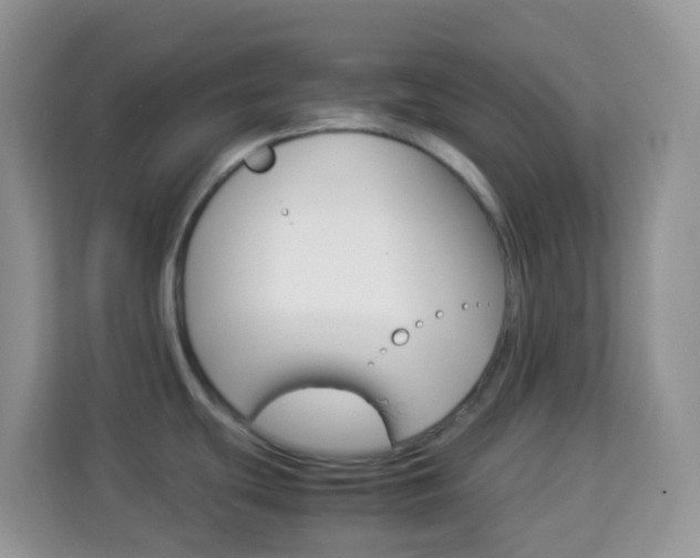 X0000114221439200910091040