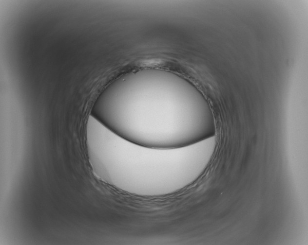 X0000114221441200910091039