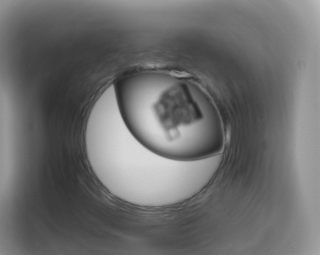 X0000114221444200910091039