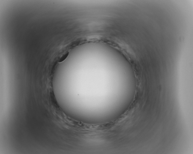 X0000114221445200910091039