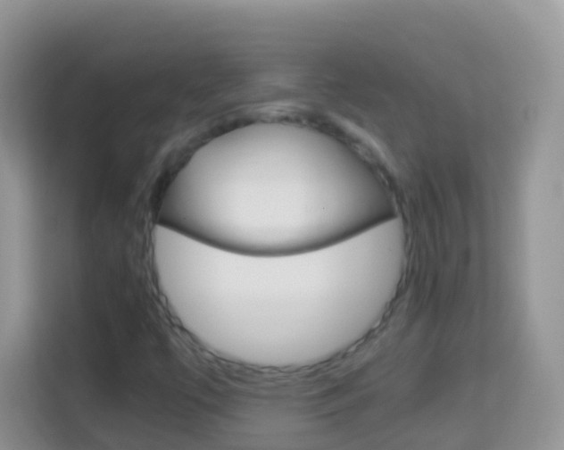 X0000114221447200910091039