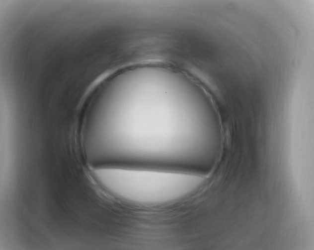 X0000114221452200910091039