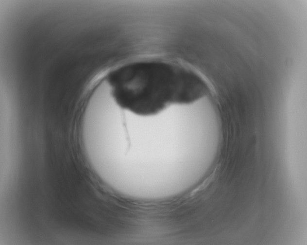X0000114221455200910091039