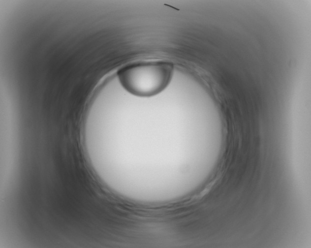 X0000114221457200910091039