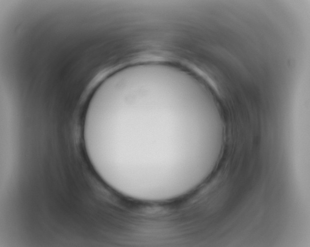 X0000114221459200910091039