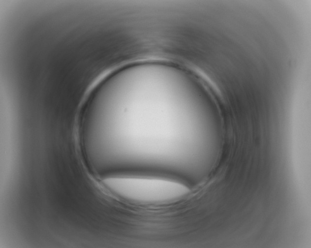 X0000114221460200910091039