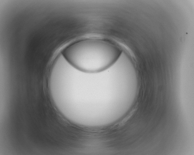 X0000114221461200910091039