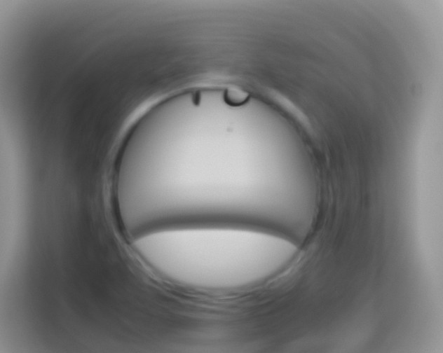 X0000114221463200910091039