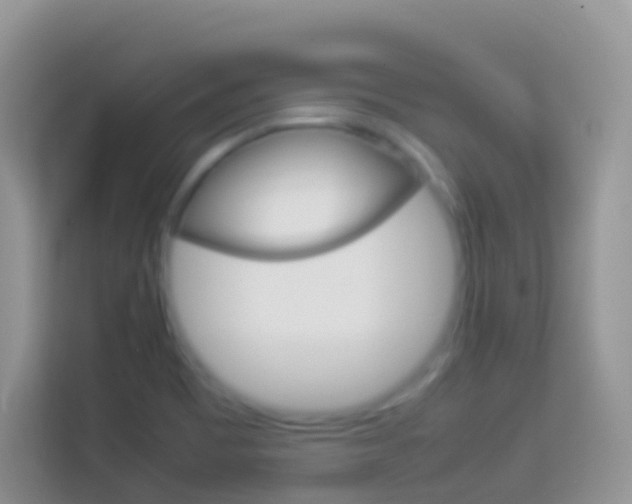 X0000114221465200910091039