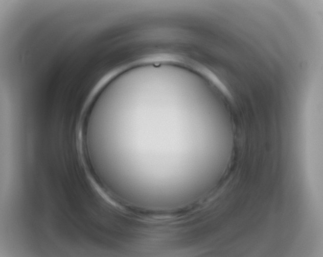 X0000114221468200910091039