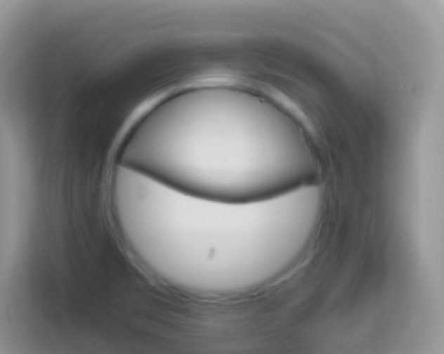 X0000114221469200910091039