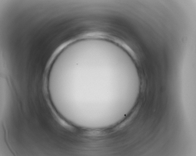 X0000114221470200910091039
