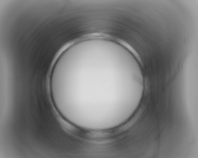 X0000114221474200910091039