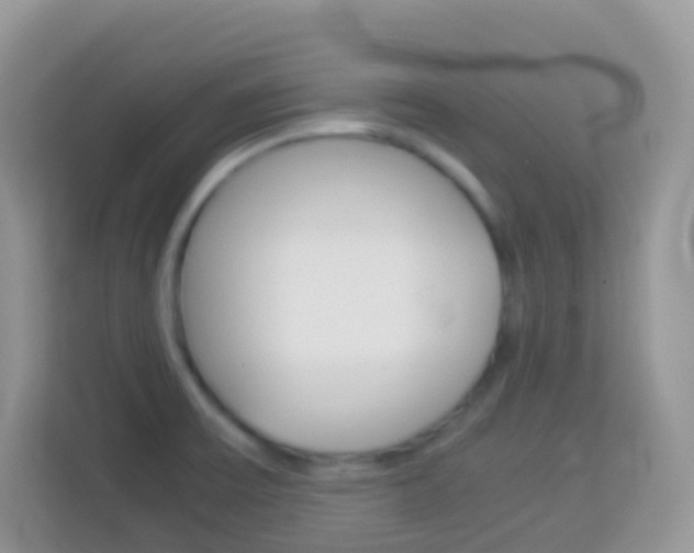 X0000114221475200910091039