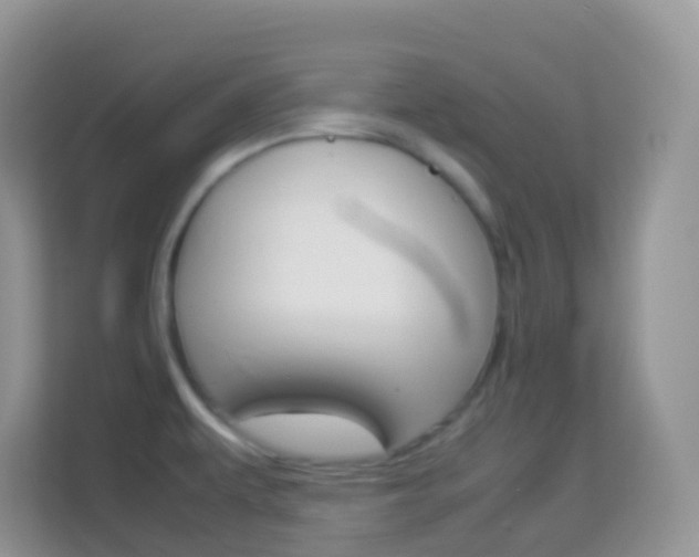 X0000114221479200910091039